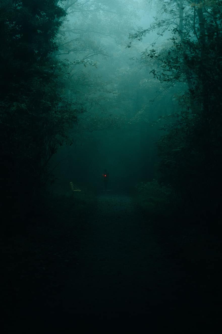 мъгла, дървета, гора, дим, тъмен, под вода, вода, гмуркане, хора, приключение, спорт
