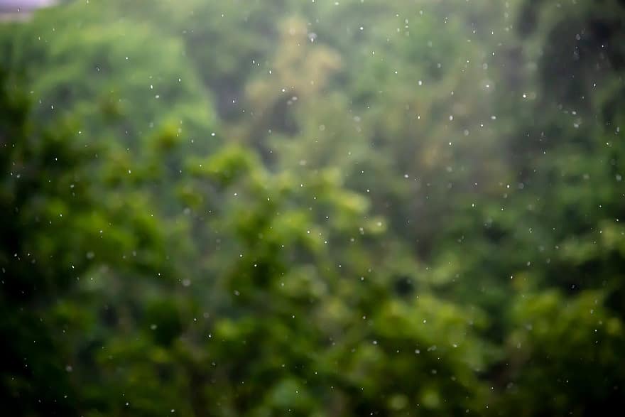 lietus, pobūdį, fonas, lietingas, lietaus lašai, žalias, medžiai, oras