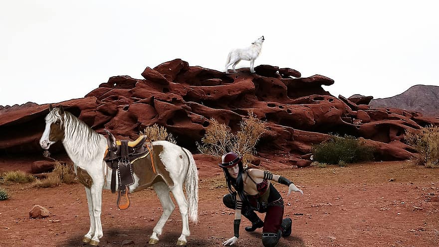 Background, Rocks, Desert, Cowgirl, Horse, Wolf, Fantasy, Female, Character, Digital Art