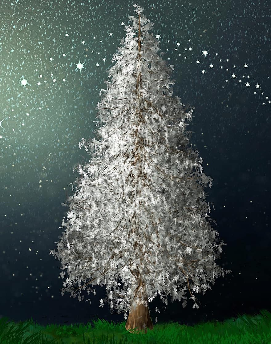 zimní říše divů, bílý, strom, Vánoce, jedle, sezónní, noc, nebe, hvězd, vánoční strom, Vánoční pozadí