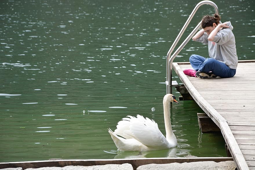 Swan, Woman, Jetty, White Swan, Lake, Feathers, Plumage, Waterfowl, Water Bird, Girl, Nature