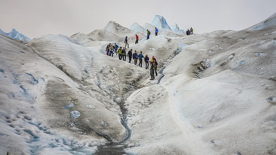 gletser, alpine, trekking, pejalan kaki, hiking, pendakian, kelompok, orang-orang, salju, Es, musim dingin