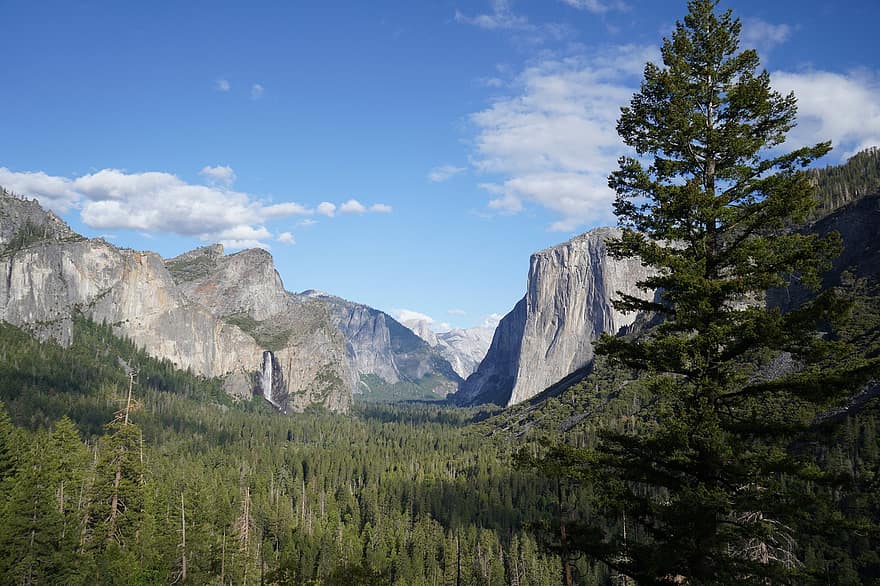 Yosemiten kansallispuisto, vuori, metsä, maisema, Kalifornia, kansallispuisto, puu, vuorenhuippu, kesä, sininen, vihreä väri