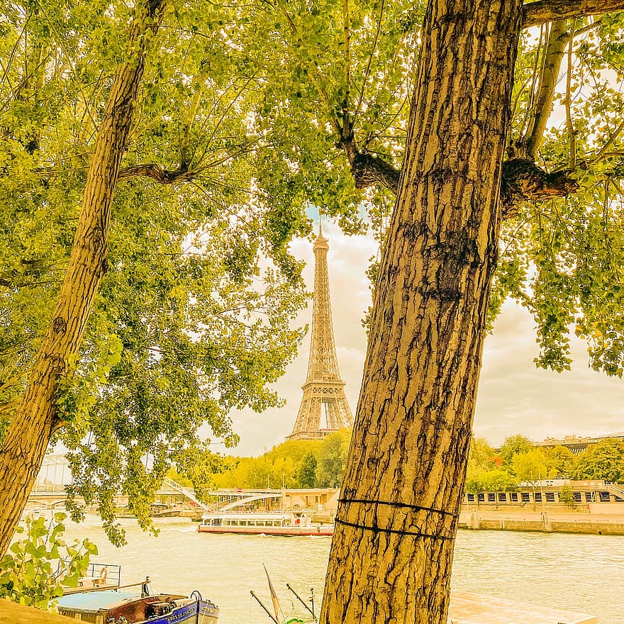 Eiffel Tower, France, Paris, Trees, famous place, architecture, tree, tourism, travel, cityscape, travel destinations