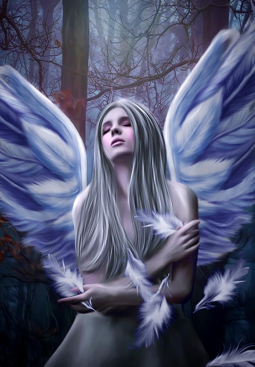 ángel, bosque, fantasía, hembra, niña, mujer, plumas