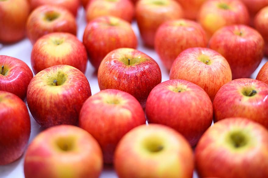epler, frukt, rød, moden, fersk, organisk, produsere, innhøsting, friske epler, røde epler, modne epler