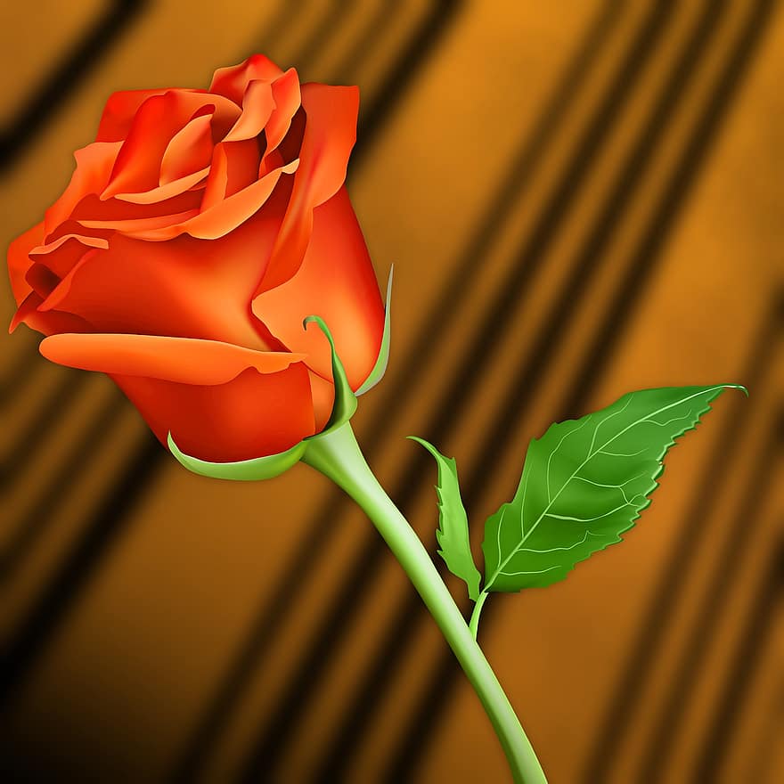 bloem, liefde, blad, natuur, fabriek, roze oranje, prachtige roos