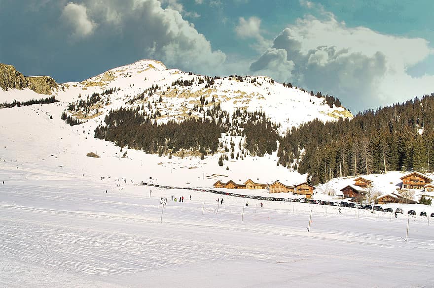 munţi, zăpadă, schi, brad, natură, peisaj, iarnă, Haute-Savoie, Rhone-Alpes, Alpi, Munte