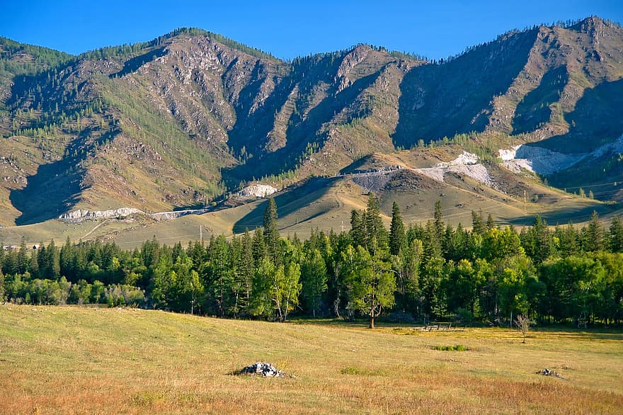 Mountains, Nature, Landscape, Altai, Siberia, Trees, Steppe, mountain, grass, meadow, summer