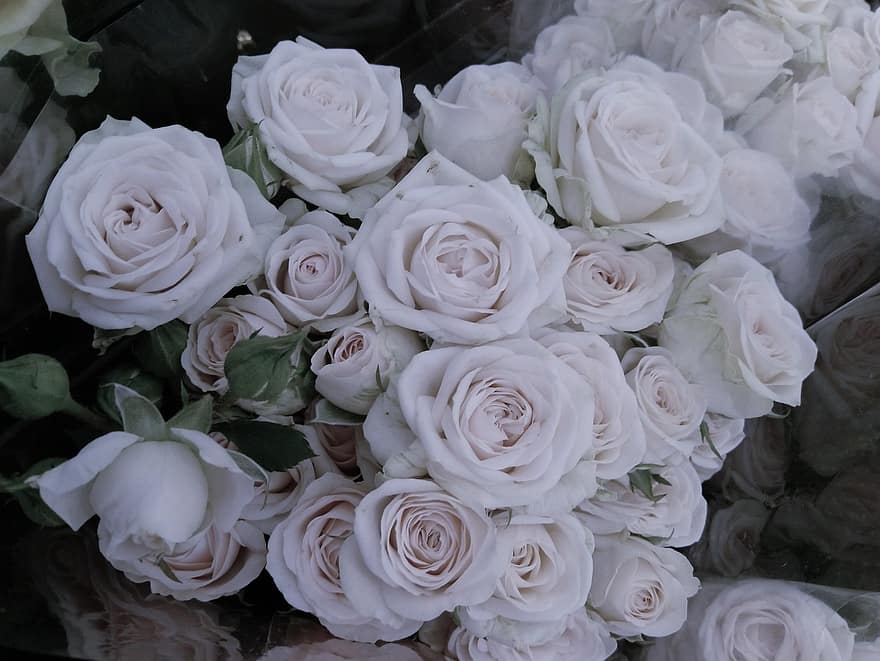 Rosen, Strauß, schwarz, Weiß, grau, Hochzeit, Liebe, Romantik, Blütenblätter, Blume, Roman