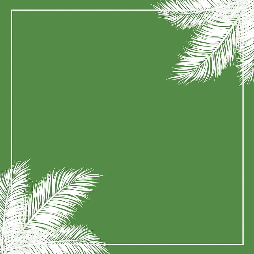 tropical, natureza, verde, sai, modelo, folheto, moderno, folhas de palmeira