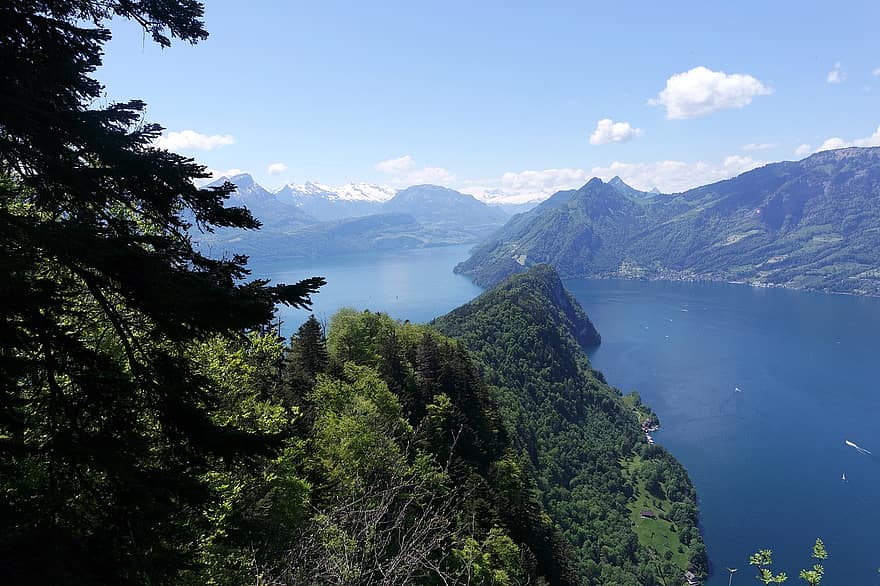 山岳、木、ハイキング、ルツェルン湖、領域、スイス、中央スイス、保証在庫