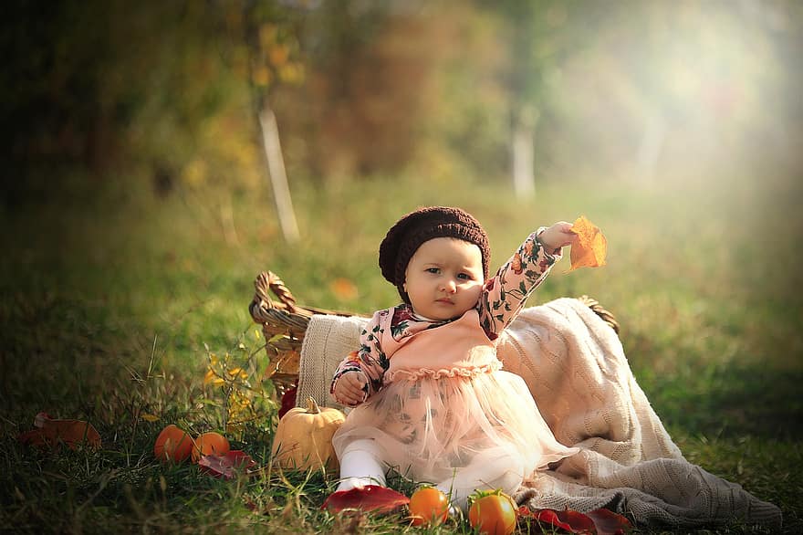 bébé, l'automne, bonnet, bambin, motif d'automne, panier, panier de bébé, fille, petite fille, parc, la nature