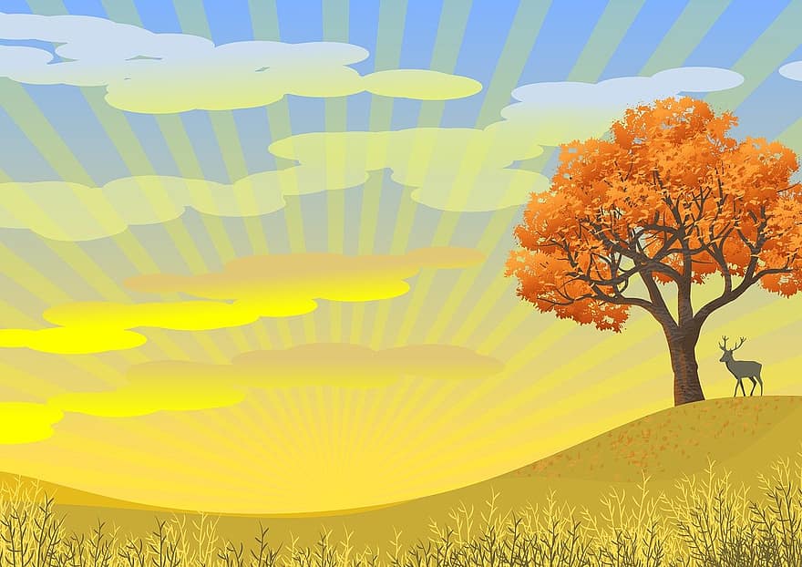 Hintergrund, Landschaft, Baum, Natur, Hirsch, Sonne, Licht, hell, fallen, Blätter, Blumen-