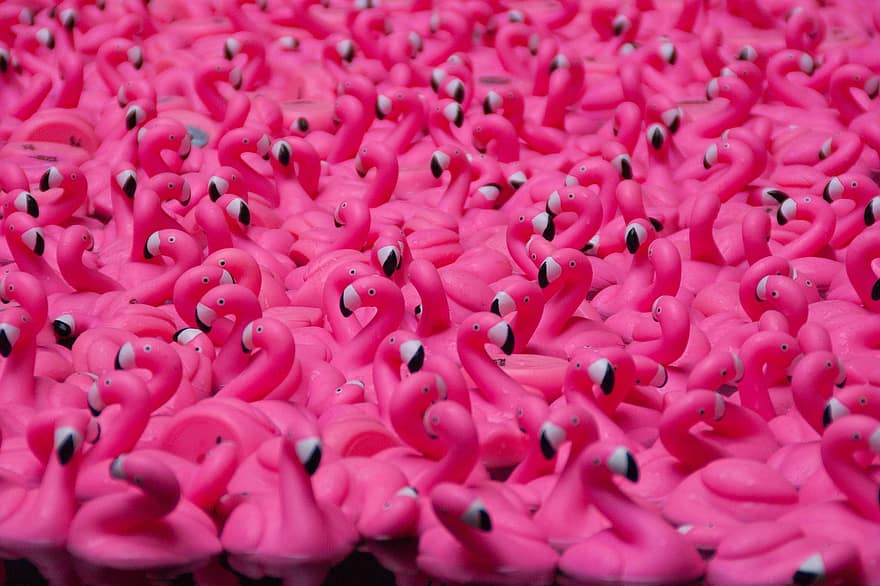 flamingo, Gummileksaker, Rosa leksaker, fågel, rosa fågel