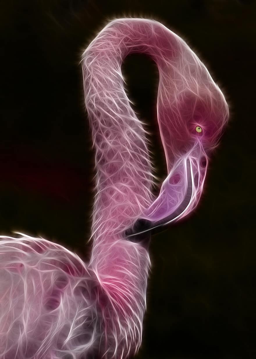 fractalius, paukštis, flamingas
