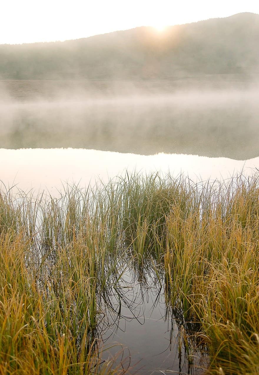 Lac, la nature, brouillard