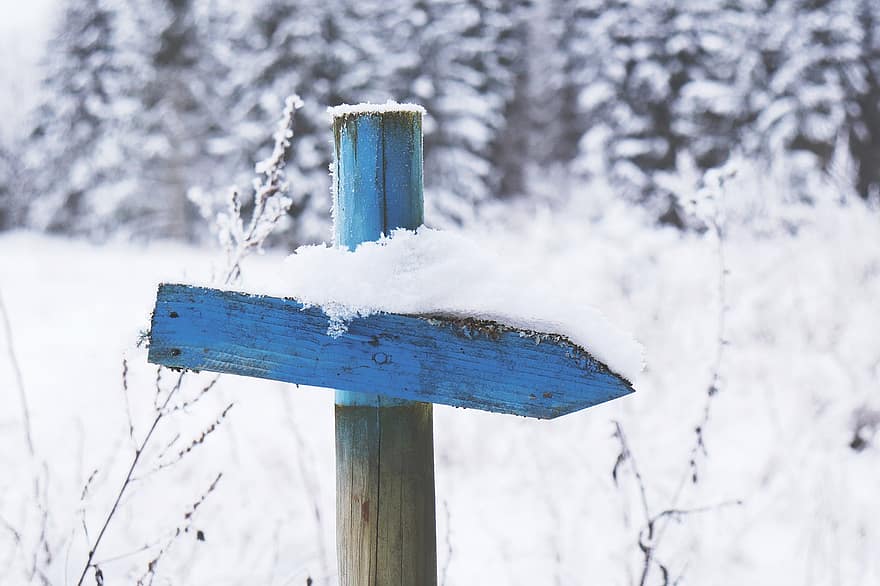 cartello, freccia, direzione, natura, la neve, legna