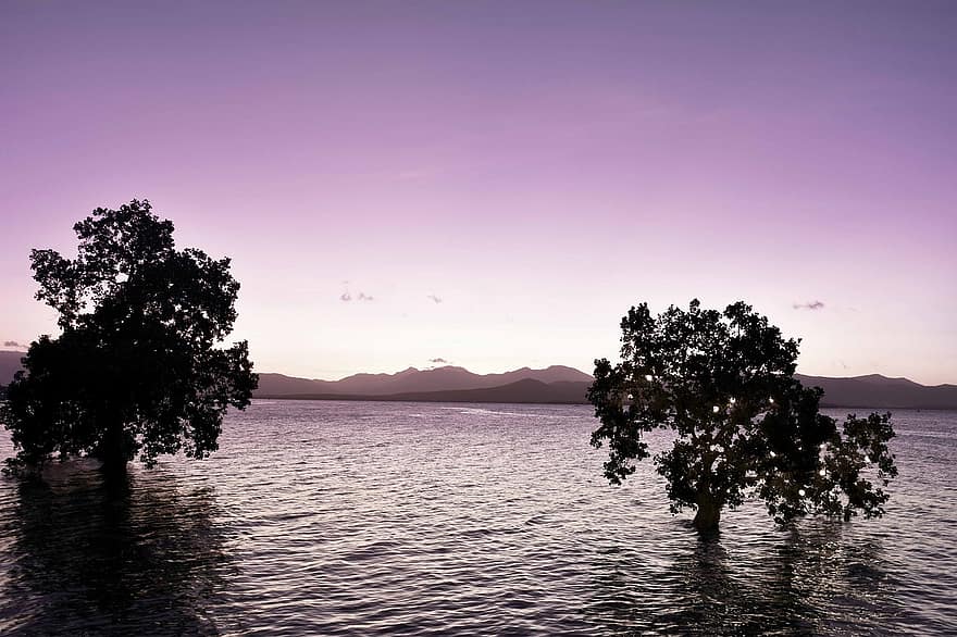 violetti, auringonlasku, meri, mangrovelehdoille, valtameri, horisontti, hämärä, iltahämärä, skyscape, siluetteja, taivas