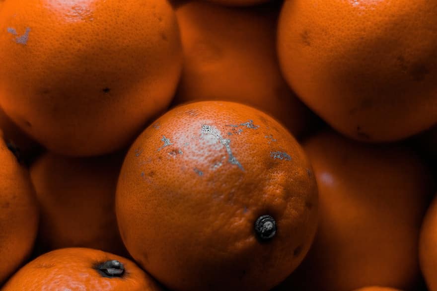 Orange, Fruit, Food, Produce, Harvest, Sweet, Fresh, Healthy, Citrus, Juicy, Organic