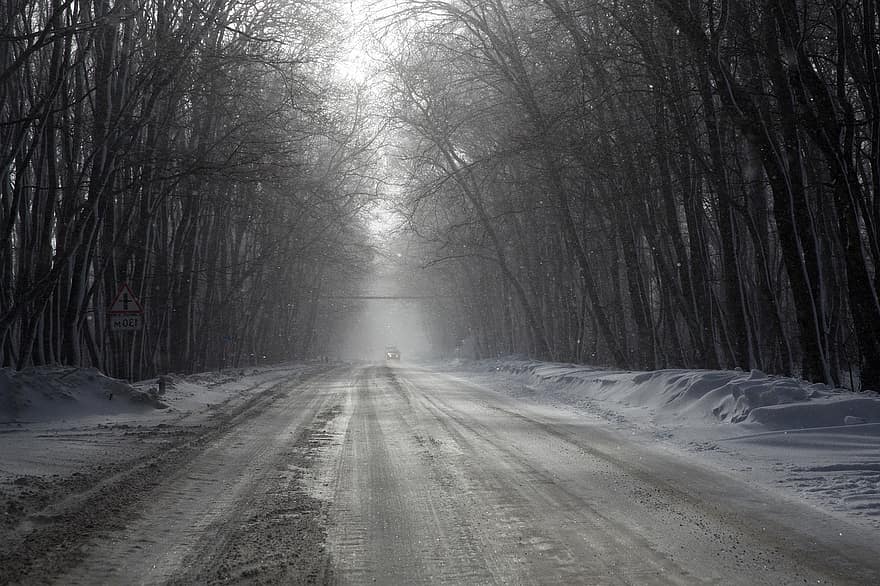 carril, carretera, congelat, gelades, bosc, naturalesa, silenci, solitud, vent de neu, fred, boira