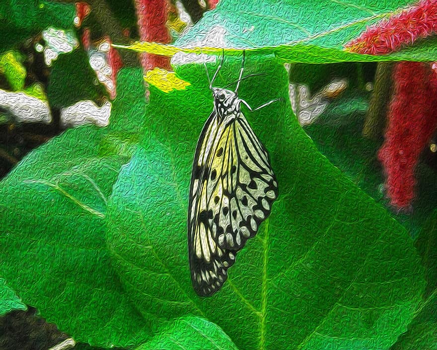 borboleta, inseto, asas, Primavera, desenhar, decorativo, verde, natural, erro, natureza, mosca