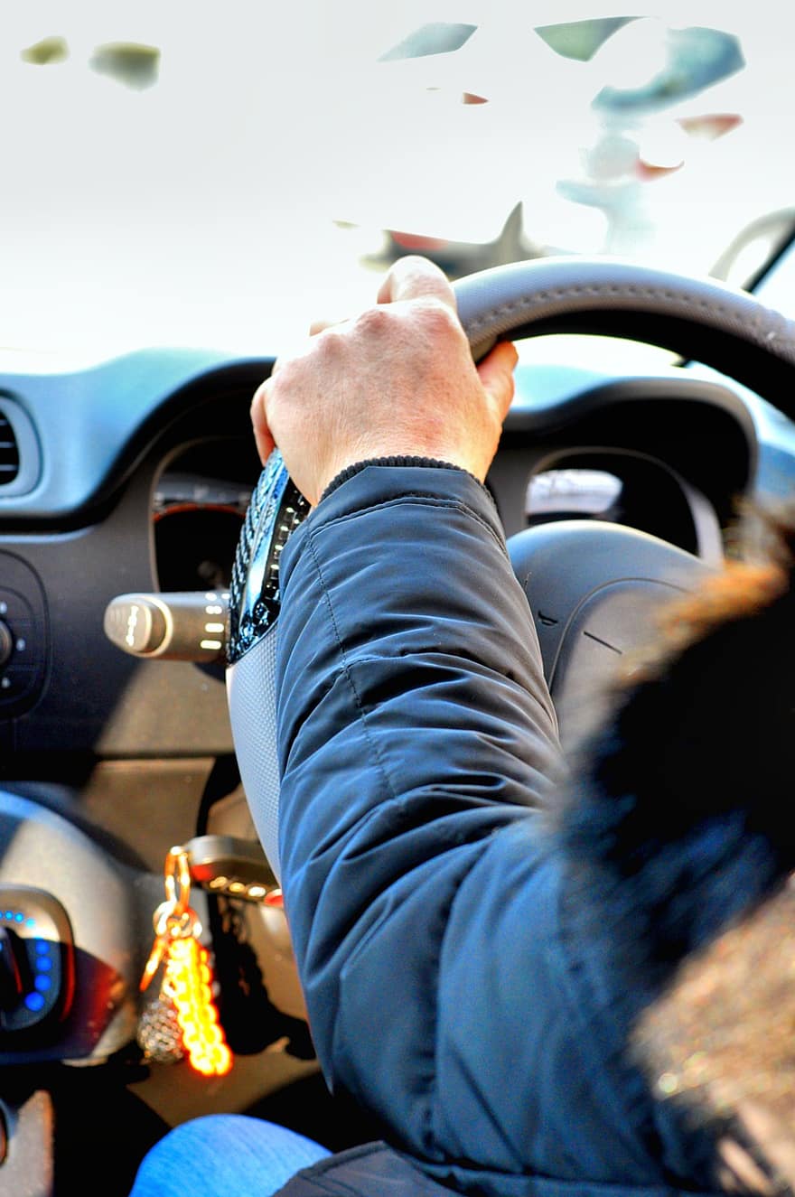 Driver, Steering Wheel, Car, Interior, Auto, Fiat, Navigation, Horn, Vehicle, Automotive, Transport