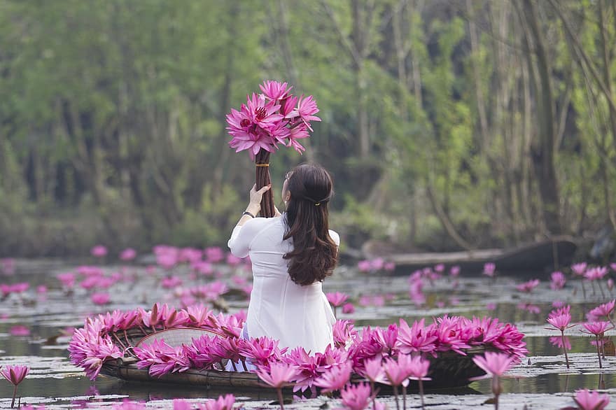 लोटस, फूल, महिला, सफेद पोशाक, गुलाबी फूल, कमल का फूल, लिली पैड, फूल का खिलना, खिलना, पंखुड़ियों, गुलाबी पंखुड़ी