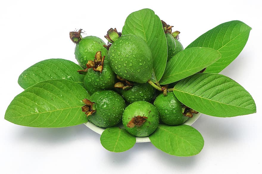 guavas, augļi, ēdiens, rasas pilieni, lapas, ražu, nogatavojies, bioloģiski, veselīgi, ražot, svaiga