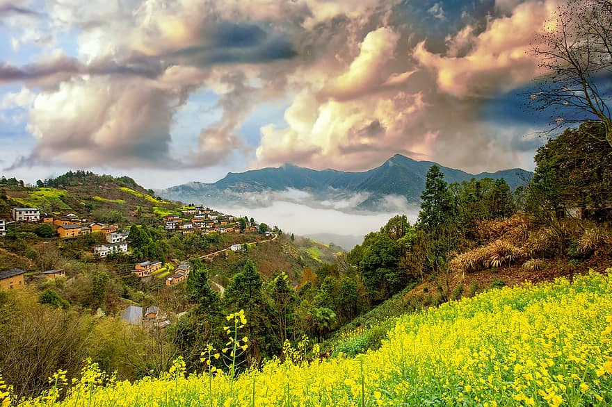 montagna, soleggiato, prato, fiori gialli, villaggio, cielo, scena rurale, paesaggio, nube, estate, erba