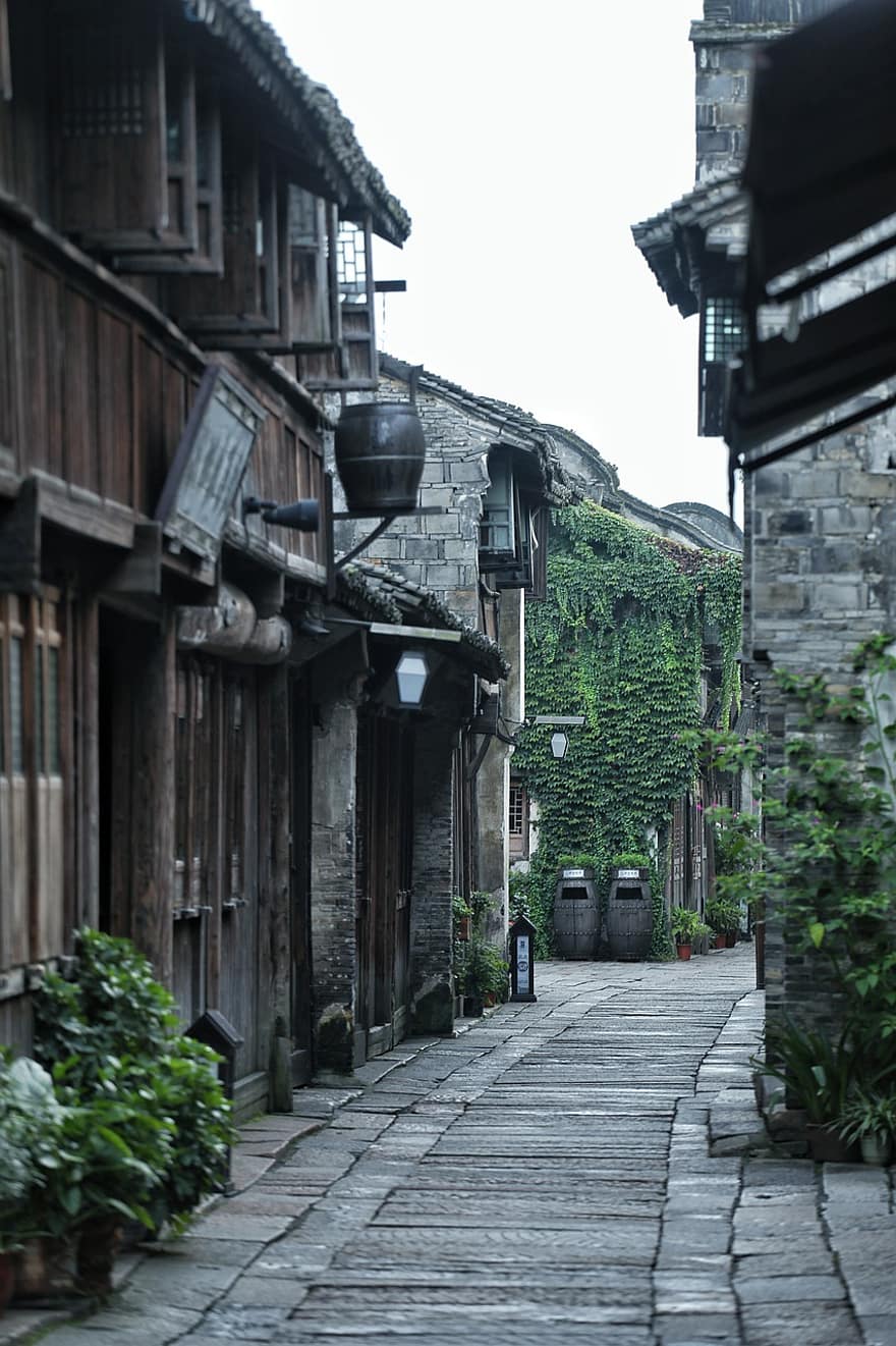 callejón, calle, plantas, edificio, antigüedad, de madera, línea, wuzhen, turismo, las dinastías ming y qing, arquitectura huizhou