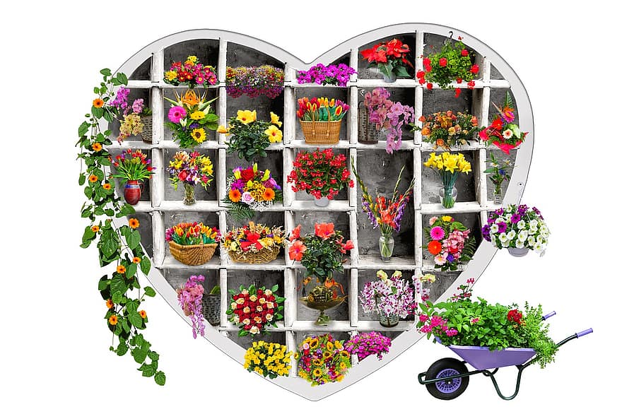 bloem, decoratie, Valentijnsdag, Moederdag, bloesem, bloeien, planten, verzameling, plank, hart-