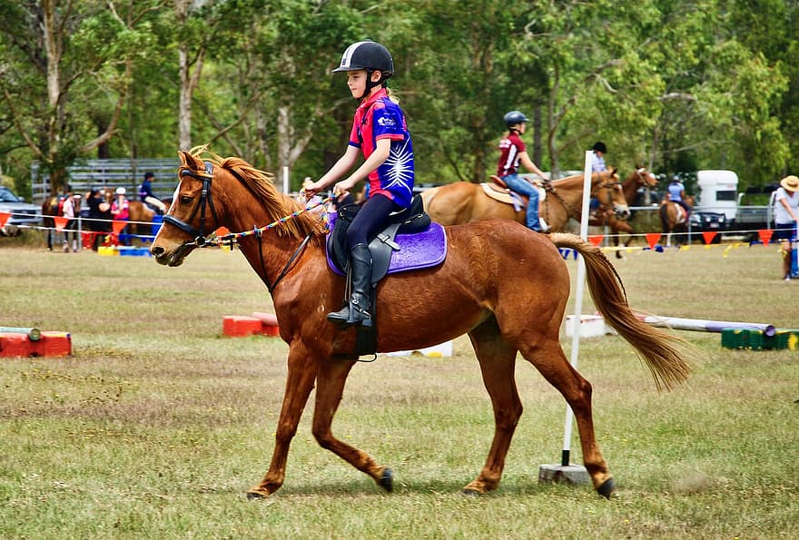 Equestrian, Girl, Horse, Race, Jockey, Saddle, Little Girl, Riding, Horse Back Riding, Galloping, Trotting