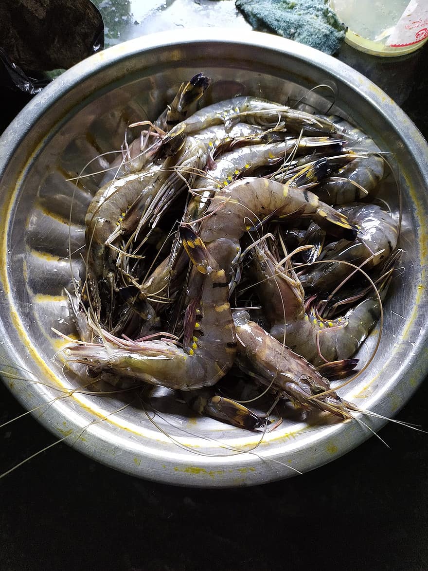 Gambes Fresques, marisc, gambes fresques