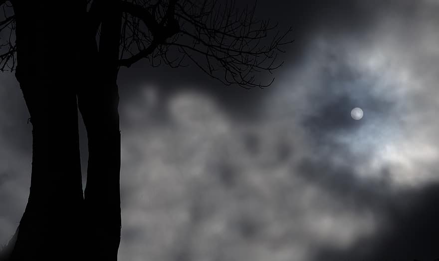 Tree, Nature, Sky, Clouds, Moon, Forest, Woods, dark, night, backgrounds, silhouette