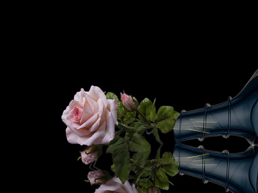 Rose, fleur, vase, vase en verre, rose rose, fleur rose, Floraison, feuilles, décoratif, nature morte