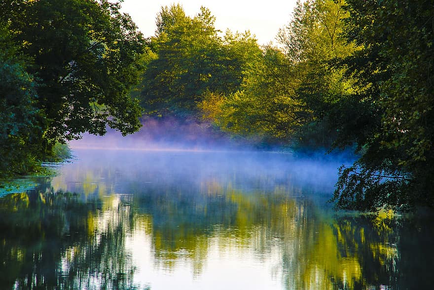 rio reno, floresta, França, canal, rio, panorama, árvore, reflexão, outono, agua, cena tranquila