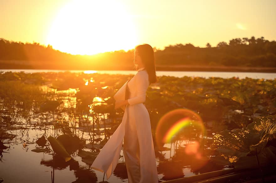 puesta de sol, ao dai, modelo, hojas de loto, lago, luz del sol, vietnamita, mujer, niña, vestido largo, actitud