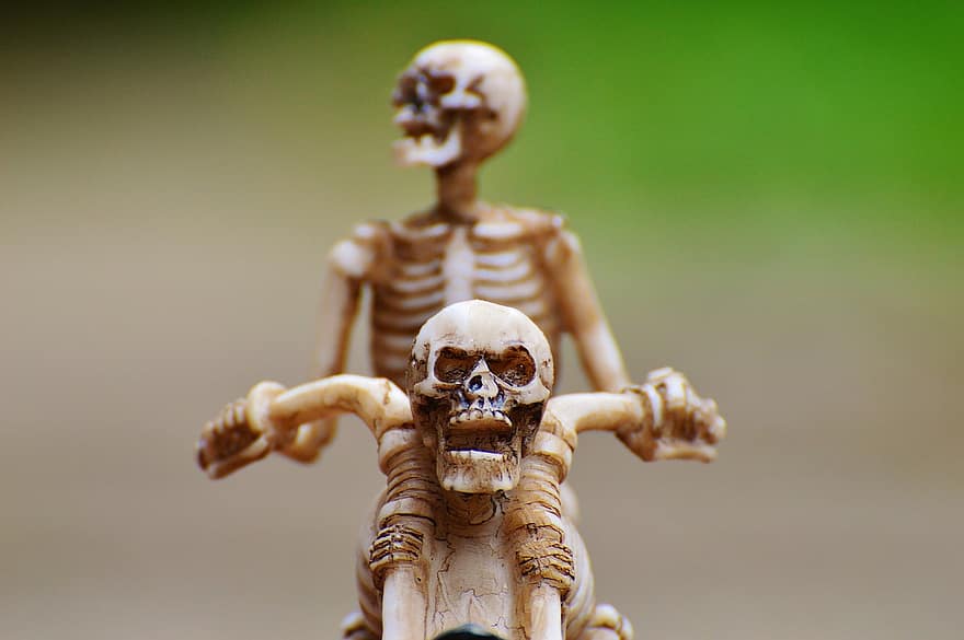 biker, skelet, uhyggelig, mærkelig, dekoration, skræmmende, knogle, rædsel, kraniet og knoglerne, kranium, kraniet ben