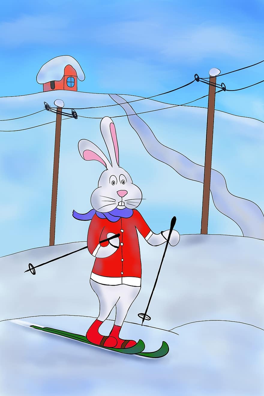 kanin, hare, stå på ski, vinter, sport, ski, snø, kjæledyr, dyr, hus, høyde