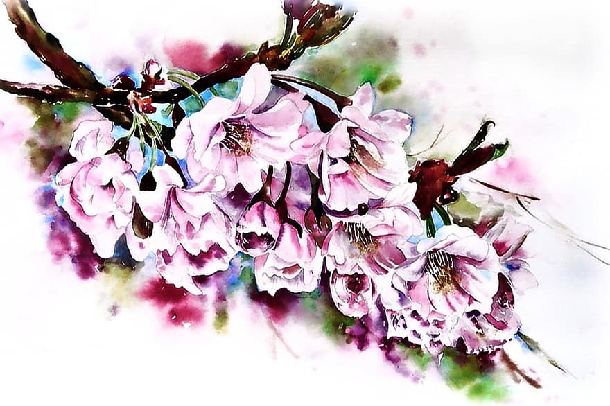 акварель, Цветение вишни, ветка сакуры, картина, окрашенный, Изобразительное искусство, весна, градиент, художники