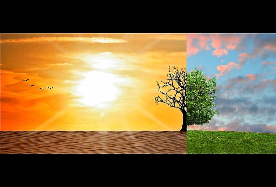 klimato kaita, visuotinis atšilimas, klimatas, pakeisti, dykuma, aplinką, atšilimas, ekologija, nelaimė, aplinkosaugos, kraštovaizdį