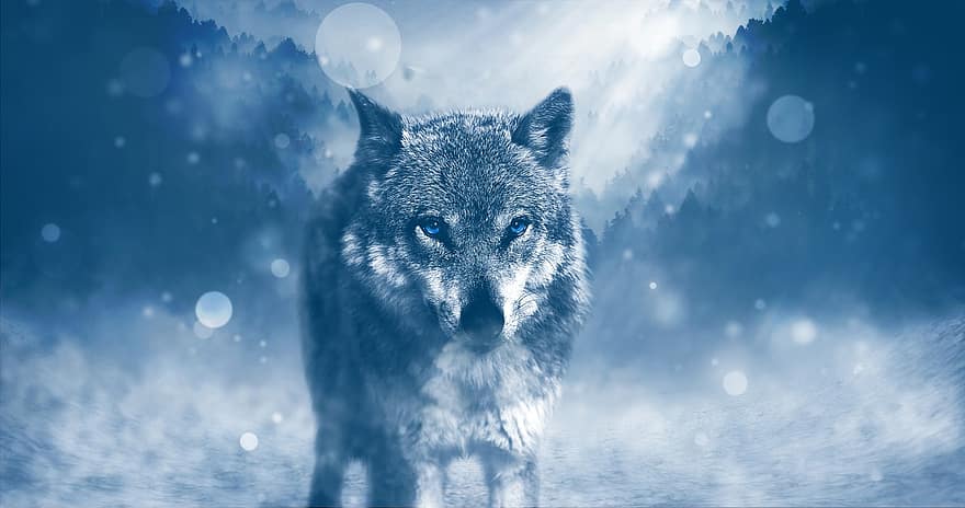 Lobo, predador, animal, Fleichfresser, inverno, panorama, queda de neve, animal selvagem, místico