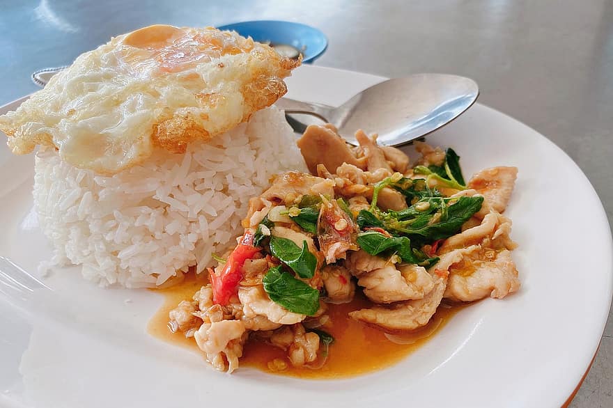 طعام ، طبق ، طعام تايلندي ، ريحان مقلي ، ريحان