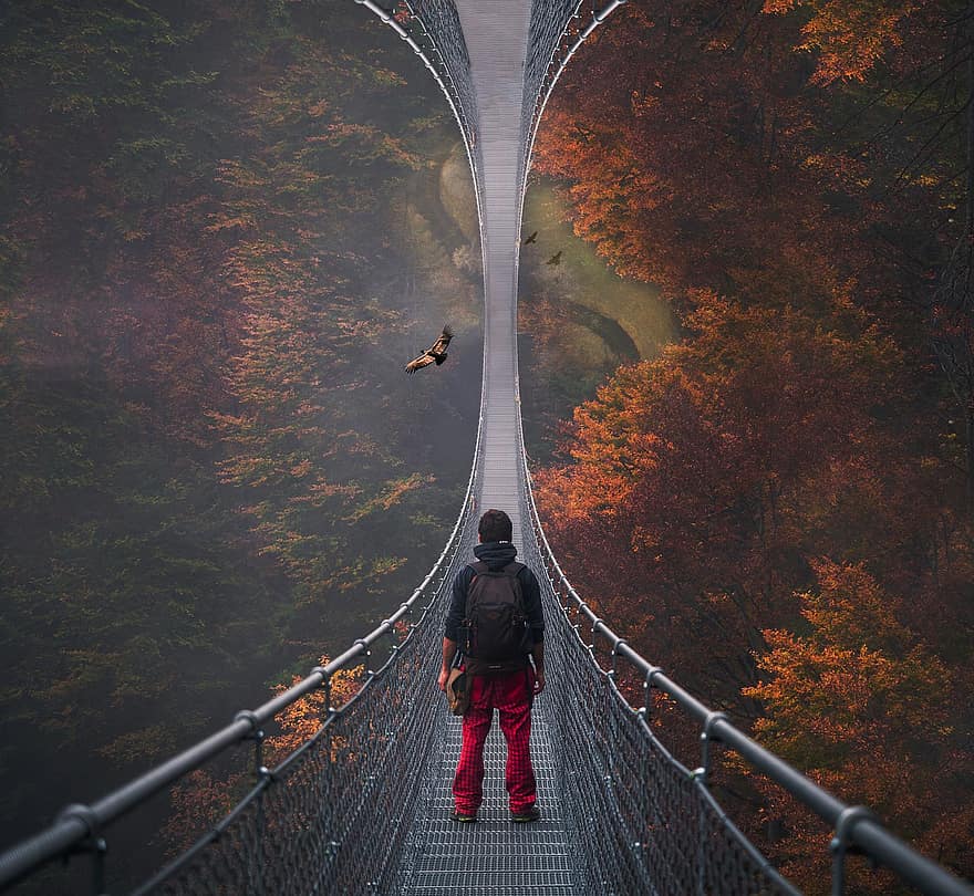 köprü, rüya, backpacker, asma köprü, Basit Asma Köprü, uzun yürüyüşe çıkan kimse, adam, gerçeküstü, başlangıç, tasavvufi, seyahat