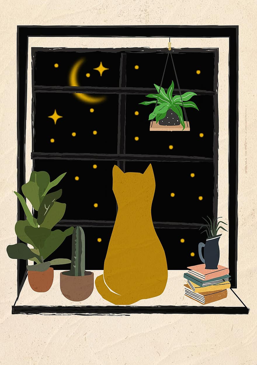 kot, okno, noc, księżyc, gwiazdy, nocne niebo, zwierzę domowe, zwierzę, żółty kot, parapet, rośliny