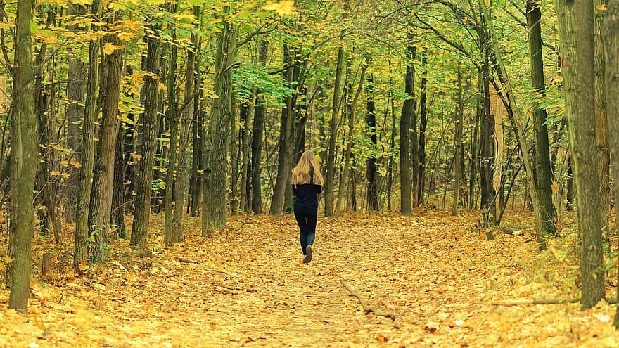 sieviete, pastaigas, rudenī, mežs, raksturs, vīriešiem, koks, lapas, dzeltens, viens cilvēks, izmantot