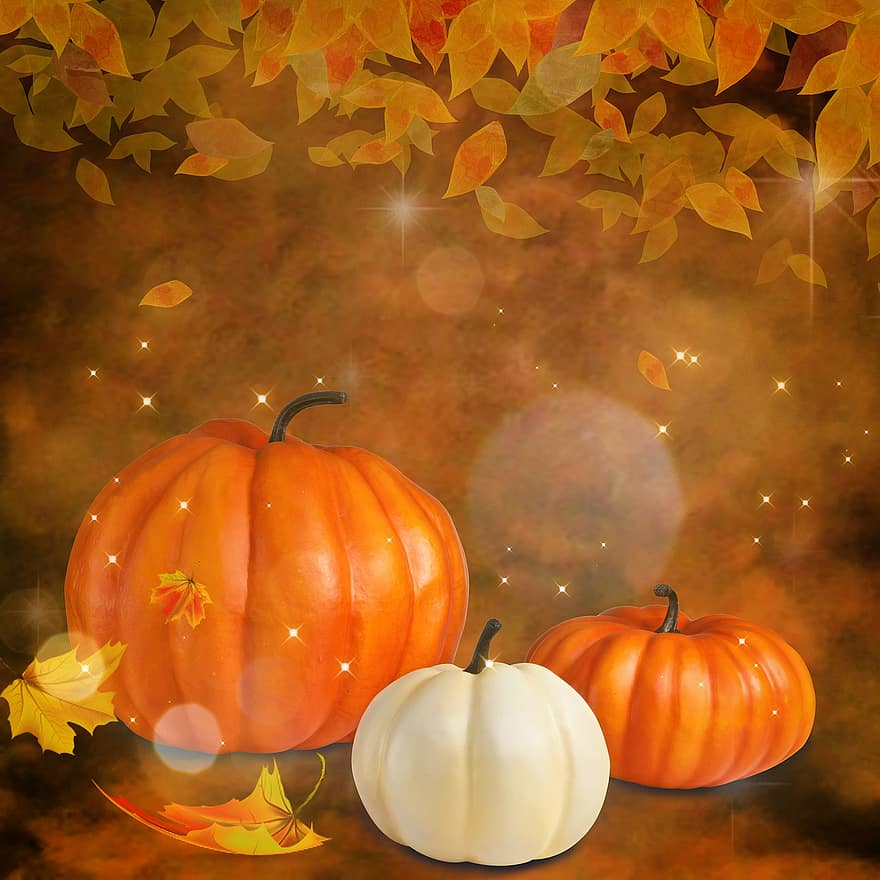 labu, musim gugur, alam, bokeh, masih hidup, halloween, Oktober, musiman, panen, dekorasi, Daun-daun