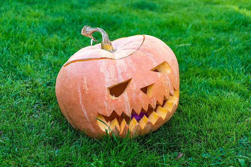 abóbora, entalhado, decoração, outono, dia das Bruxas, Outubro, assustador, temporada, grama, lanterna, Horror