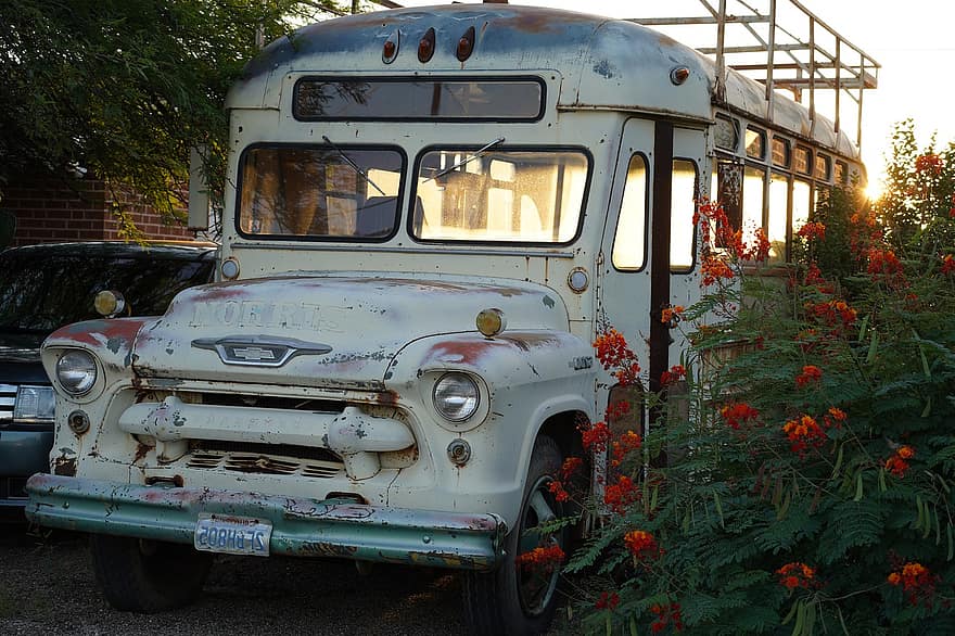 Ялопі, автобус, шкільний автобус, старий автобус, захід сонця